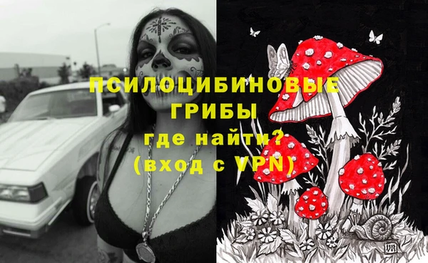 ГАЛЛЮЦИНОГЕННЫЕ ГРИБЫ Сафоново