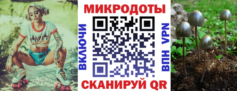 Псилоцибиновые грибы Psilocybine cubensis  Щёлкино 